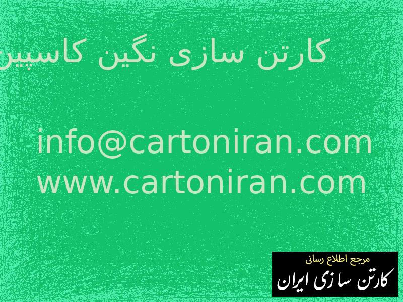 کارتن سازی نگین کاسپین